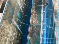 -宾朋海鲜特色美食餐厅·纯手工鲅鱼水饺(兴海路店)