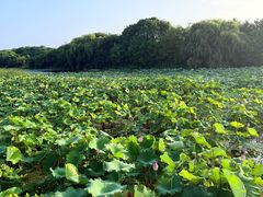 -池州市平天湖风景区