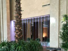 -常州环球恐龙城维景国际大酒店