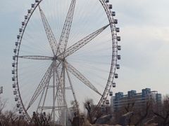 iphone_upload_pic-哈尔滨文化公园