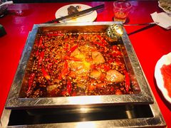 -二荆条·蜀鲜汇城市森林火锅
