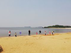 -瑶湖郊野森林公园