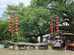 -新安江山水画廊风景区