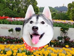 -南山植物园