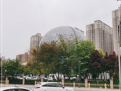 -陕西自然博物馆