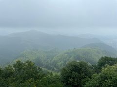 -莫干山风景区