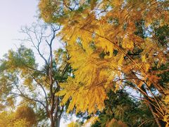 -南国桃园旅游度假区