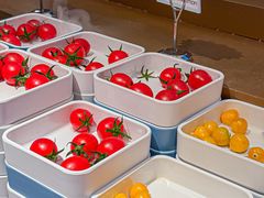 -北京海德酒店温泉