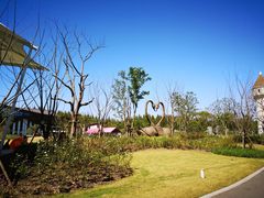 -东平国家森林公园