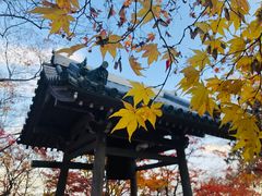 -常寂光寺