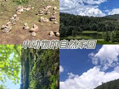 -普达措国家公园