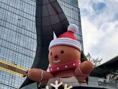 -Apple零售店(天环广场店)