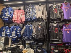 -丰业银行球馆(Scotiabank Arena)