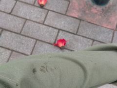 -江燕路万科里