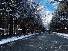 -北海道神宫