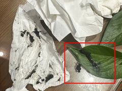 -御面斋精品面馆