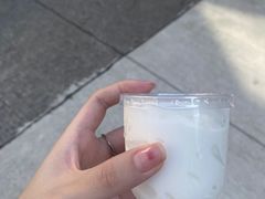 -洪馨椰子