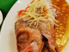 蒸海鱼-丽苑大酒店