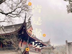 -灵隐飞来峰景区