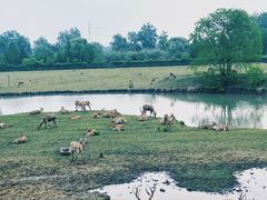 -溱湖国家湿地公园