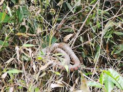 -会稽山峡洞漂流-上青古道