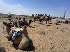 -亿利库布其七星湖沙漠生态旅游区