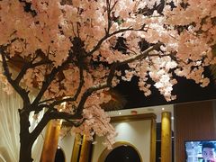 -添赐温泉馆(上南路店)