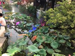 -天目湖松岭竹海漂流