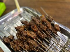 -清真·马峰烤肉(小学习北巷店)