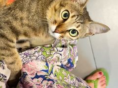 -Again Coffee Roaster(香蜜湖店)