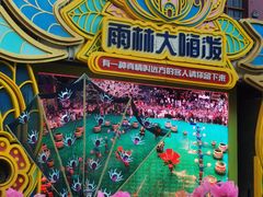 -西双版纳原始森林公园