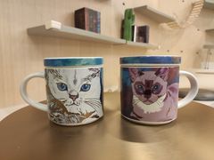 -飞行喵MR PILOT|猫舍·猫咖(静安大融城店)