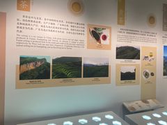 -中国茶叶博物馆(双峰馆区)
