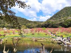 -广州市石门国家森林公园