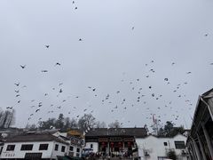 -九华山风景区