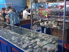 -苏州海洋馆