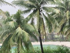 -亚龙湾老厨房·海南家常味