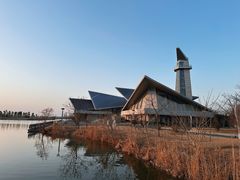 -盐城丹顶鹤湿地生态旅游区