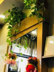 -雅梵伊容·护肤·造型