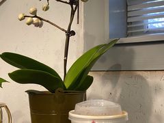 -叁秋咖啡 SANQIU COFFEE(天津河北路店)