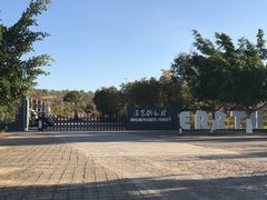 -元谋浪巴铺土林景区