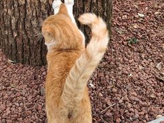 -人民公园-相亲角