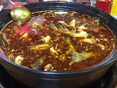 -金海椒罐罐鲢鱼(东方桂苑店)