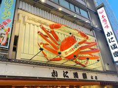 -蟹道乐(道顿堀本店)