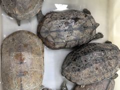 -沙田台山海鲜·酣客酒窖