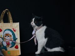 -Wave 未(万科广场店)