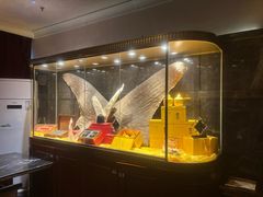 -半岛翡丽海鲜自助餐厅(观风亭店)