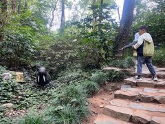-杭州少年儿童公园