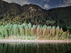 -芦茨金富饭庄·25年老字号·专做稻草鸡