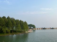 -贡湖湾湿地公园